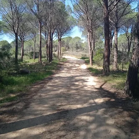 Apartament Galtelli Casa Vacanze *